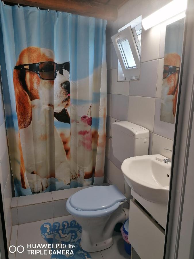 Casa Stefy Vama Veche Zewnętrze zdjęcie