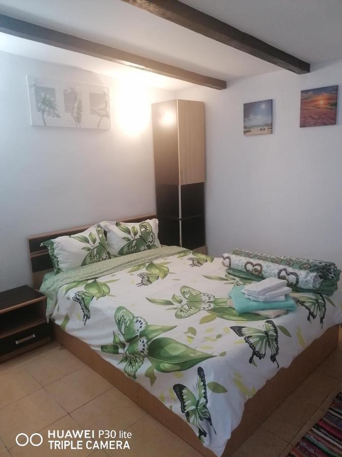 Casa Stefy Vama Veche Zewnętrze zdjęcie