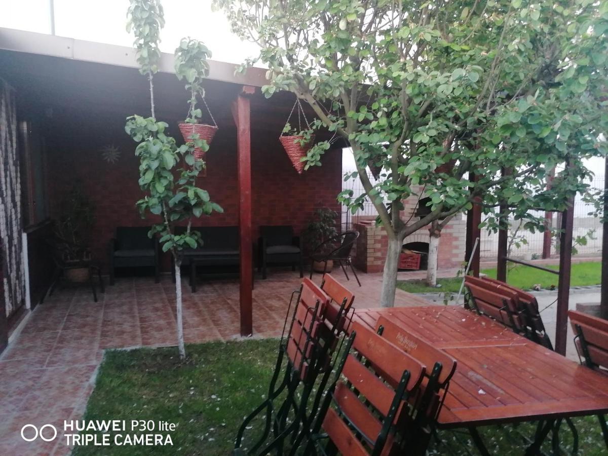 Casa Stefy Vama Veche Zewnętrze zdjęcie