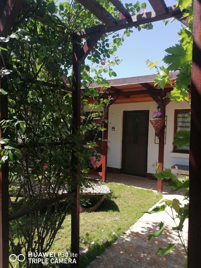 Casa Stefy Vama Veche Zewnętrze zdjęcie